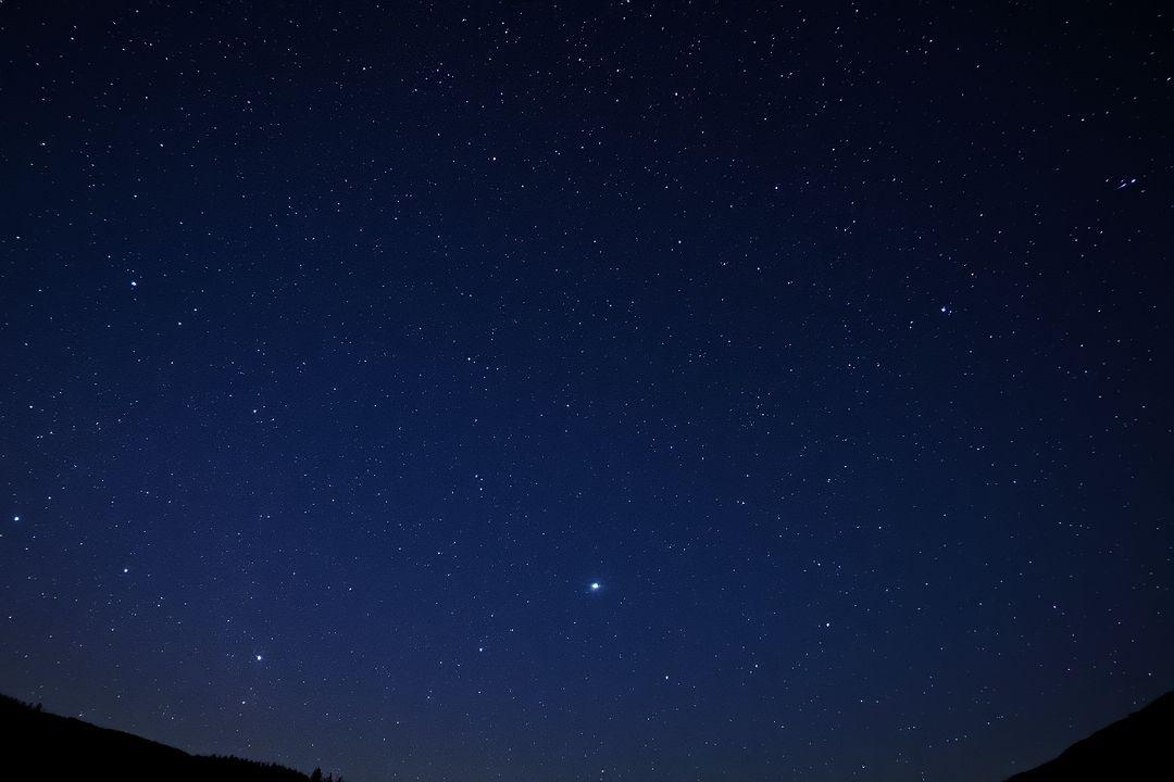 Цветочное платье с яркими узорами